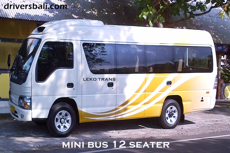 mini bus 12 seater rent and hire bali